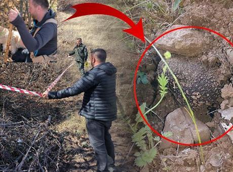 Köpeklerle adım adım arayıp buldular! Toprağın 5 ila 20 santimetre altında: 30 milyon TL kazandıracak