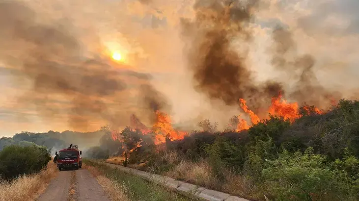 Çanakkale Valiliği'nden orman yangını alarmı! 3 gün süreyle yasaklandı