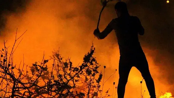 Orman yangınlarında 43 şüpheli tespit edildi: 11 kişi tutuklandı